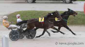Ippodromo La Maura, Bullo Gec vince il Glow di Jesolo - GiocoNews.it