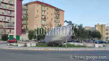 Crotone, positivo alla cocaina: finisce dentro la rotatoria di Piazza ... - CrotoneOK.it