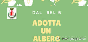 Appuntamento per tutti nel bosco di via Verdi - Qui Bollate Online