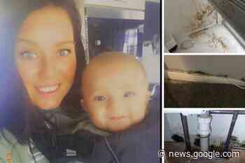 Clarion Housing under fire over Basildon mouldy flat | Echo - Southend Echo