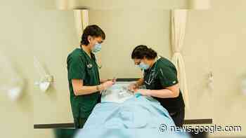 Nursing program open house in Fort St. John - Energeticcity.ca