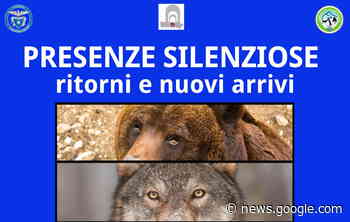 La mostra "Presenze Silenziose" da domani al Liceo Scientifico ... - LeggoCassino.it