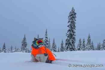 Gary the cat shreds the gnar in Golden - Kitimat Northern Sentinel