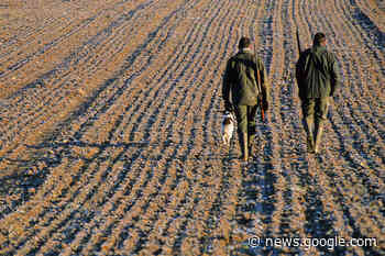 Jagdschein muss verlängert werden - Filmpost