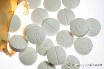 Hamilton explores declaring state of emergency over opioid ... - TimminsToday