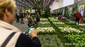 „Regionalität liegt im Trend“