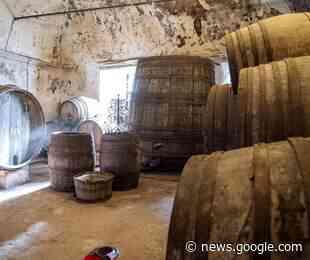 Convegno di Ampelografia e Prospettive del Vigneto in Agrigento ... - Virgilio