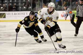 Sarnia Falls On The Road To Kingston 5-3 – Sarnia Sting - Sarnia Sting