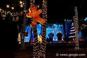 Cassino, l'assessore Grossi sottolinea il successo del Bosco del ... - L'Inchiesta Quotidiano OnLine
