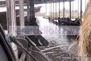 Caserta. 'Le bugie del Piano affogano nell'acqua e nel fango del ... - TeleradioNews