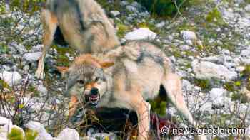 Dolomiten – Sagenhaftes Juwel der Alpen im TV - Sendung - TV ... - TV Spielfilm