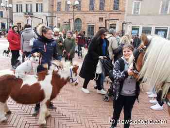 A Recanati tradizionale benedizione degli animali in nome di Sant ... - Radio Erre
