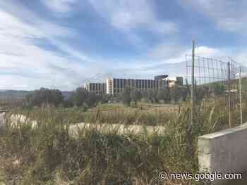 Catanzaro, finisce l'assalto dei cinghiali alla Cittadella regionale ... - La Nuova Calabria