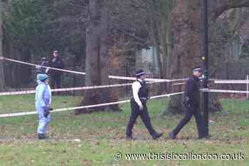 Strakers Road Peckham Rye Park stabbing: Two to appear in court
