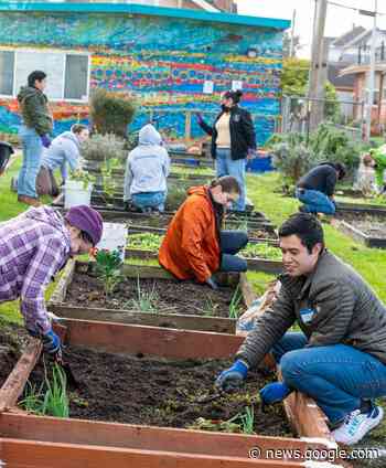 Day of Caring Volunteers Refresh Gardens and Restock Food Pantries - Humboldt State Now
