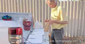 Program helps businesses to evolve