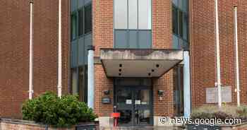 Opgeroepen getuige stuurt kat naar de rechtbank en krijgt geldboete - Het Laatste Nieuws