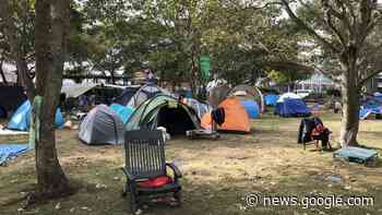 Punks auf Sylt: Camp auf Westerland immer noch nicht geräumt - so ... - RND