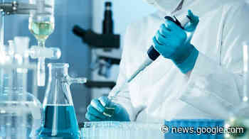 Covid, un caso di variante Kraken scoperto anche a Verona - veronaoggi.it