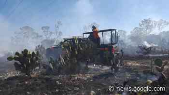 Suman 11 incendios forestales en Tecamachalco en lo que va del ... - Municipios Puebla