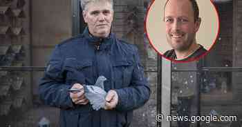 Hoe de duivenmaffia toesloeg in Den Ham, Eurosped zichzelf ... - De Stentor