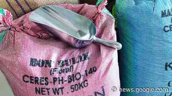 Moncton Chocolatier Eyes Wholesale Market - Huddle Today