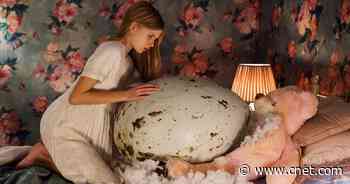 The 5 Best Horror Movies on Hulu, Ranked     - CNET