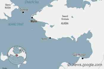 Rare attack in Alaska renews interest in polar bear patrols ... - Lacombe Express