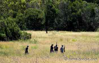 South Africa: Search on after tiger escapes, attacks man - Lacombe Express