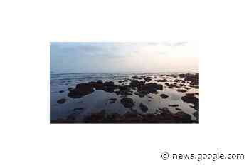 Se aleja el mar en playas de Boca del Río (video) - El Dictamen