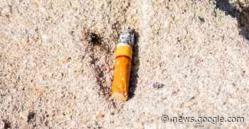 Colillas de cigarro, martirio en playas – Luces del Siglo - Luces del Siglo