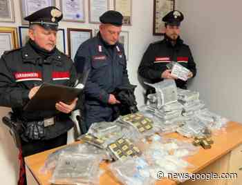 GIULIANOVA: MAXI SEQUESTRO DI HASHISH E COCAINA ... - Abruzzoweb.it