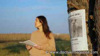 What to do if Your Dog is Stolen or Worse Held For Ransom