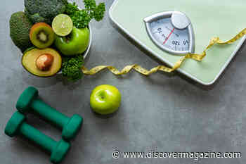 What Factors Matter Most For Weight Loss?