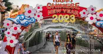 What your Chinese New Year 2023 horoscope reveals for your zodiac sign