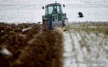 So sollen junge Landwirte in Baden dem Traum vom eigenen Hof ... - Schwäbische