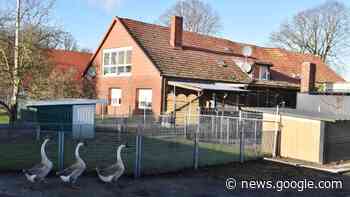 Umzug von Neudersum nach Rhede Gnadenhof Tierseelen: Das ... - NOZ