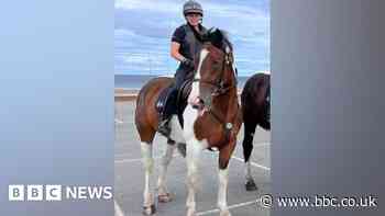 South Yorkshire Police to sell horse who has not excelled at the job