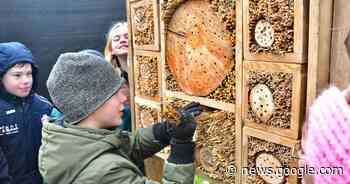 Leerlingen vijfde leerjaar helpen allereerste insectenhotel in ... - Het Laatste Nieuws