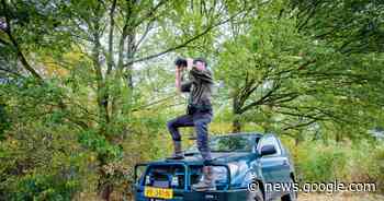 Roep om wapen voor groene boa's Brabant zwelt aan - Eindhovens Dagblad