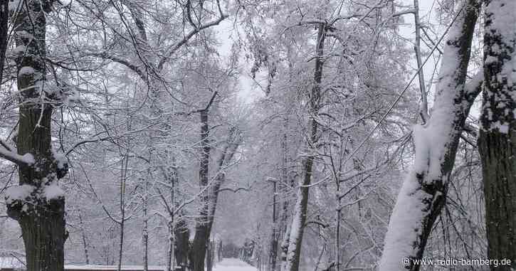 Stadt Bamberg warnt vor Schneebruchgefahr
