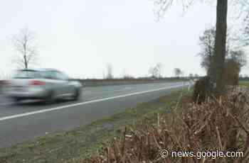 Grobschnitt an der Bundesstraße - Lampertheim - Nachrichten und ... - Mannheimer Morgen