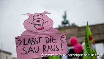 Mit Traktoren und Schweinefiguren - Protest für Agrarwende