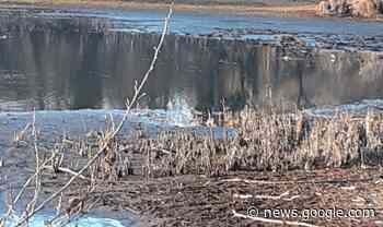 Arona, lago Maggiore: allarme siccità - La Prealpina