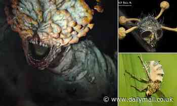 The Last of Us zombie infection is REAL - and could infect humans, experts warn