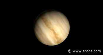 Venus will steal the show in the night sky throughout 2023