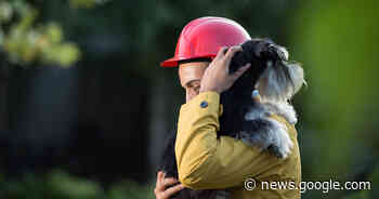 The RSPCA's Weirdest Animal Rescues of 2022 - CFJC Today Kamloops