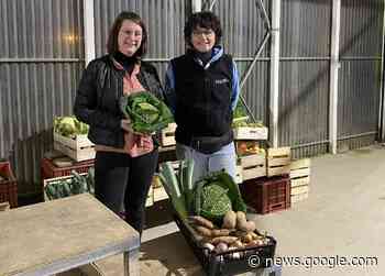 Près de Dinan, ces élèves vont créer leurs recettes de soupe pour ... - actu.fr