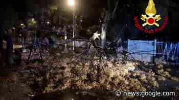 Raffiche di vento e temporale, muri crollati e alberi caduti: già cento gli interventi dei vigili del fuoco - PalermoToday