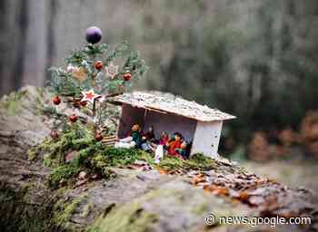 Concorso presepi di Natale 2022, oltre cento partecipanti ... - AssisiNews